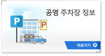 ���� ������ ����